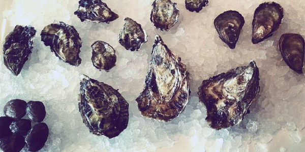 How Long Does It Take for Well-Refrigerated Oysters to Go Bad?